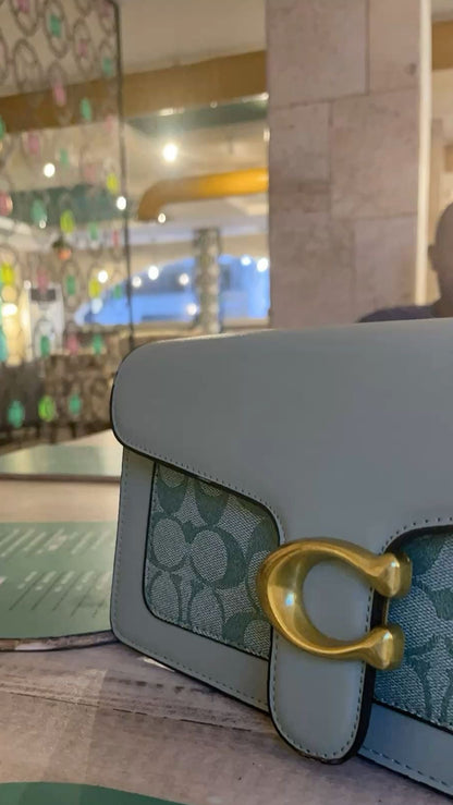 Baby Blue Inspired Coach Bag