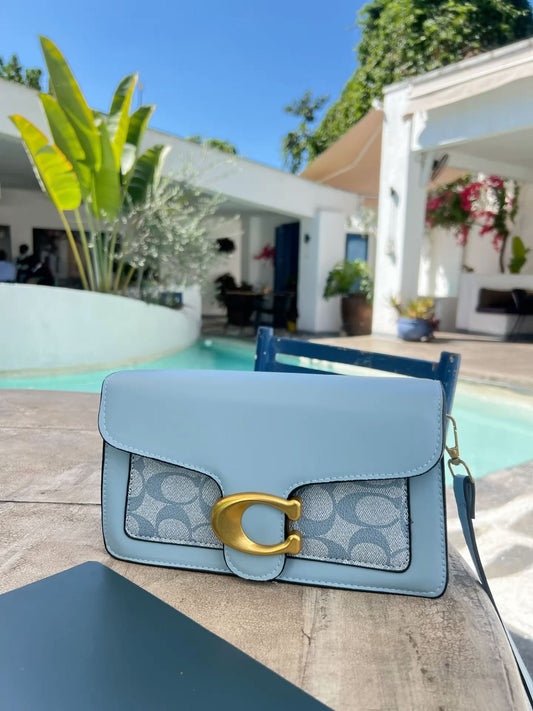 Baby Blue Inspired Coach Bag